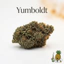 Yumboldt