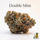 Double Mint cannabis strain