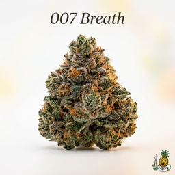 007 Breath cannabis strain