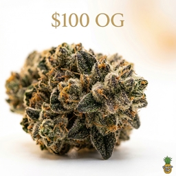 $100 OG cannabis strain