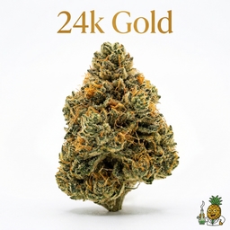 24k Gold cannabis strain