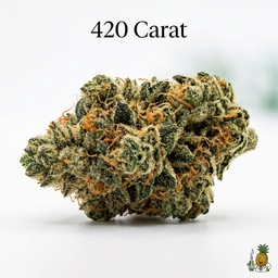 420 Carat cannabis strain