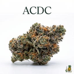 ACDC cannabis strain