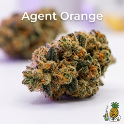 Agent Orange cannabis strain