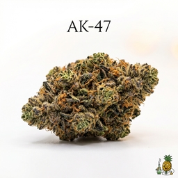 AK-47 cannabis strain