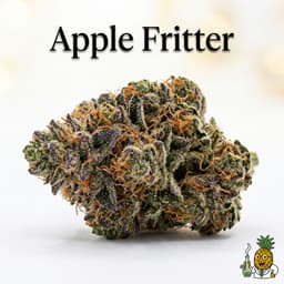 Apple Fritter cannabis strain