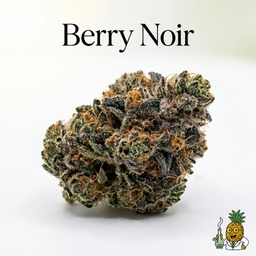 Berry Noir cannabis strain