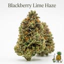 Blackberry Lime Haze