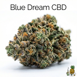 Blue Dream CBD cannabis strain