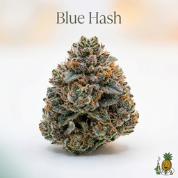 Blue Hash cannabis strain