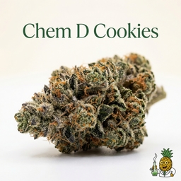Chem D Cookies cannabis strain