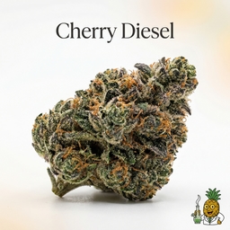 Cherry Diesel cannabis strain