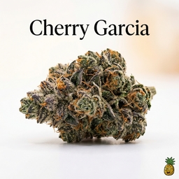 Cherry Garcia cannabis strain