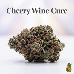 Cherry Wine Cure cannabis strain
