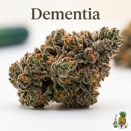 Dementia cannabis strain