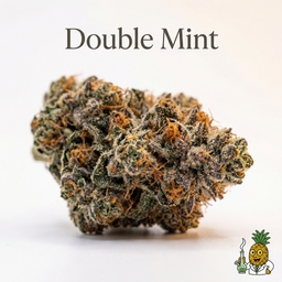 Double Mint cannabis strain