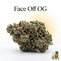 Face Off OG cannabis strain