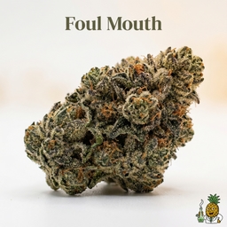 Foul Mouth cannabis strain