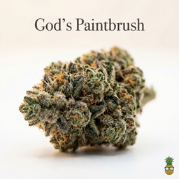God's Paintbrush cannabis strain