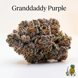 Granddaddy Purple cannabis strain