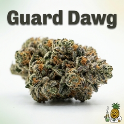 Guard Dawg cannabis strain