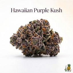Hawaiian Purple Kush cannabis strain