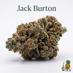 Jack Burton cannabis strain