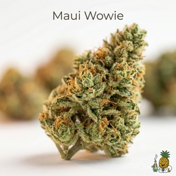 Maui Wowie cannabis strain