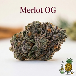 Merlot OG cannabis strain