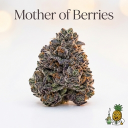 Mother of Berries cannabis strain