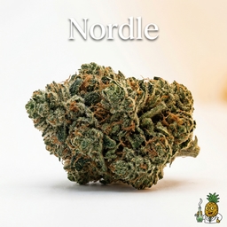 Nordle cannabis strain