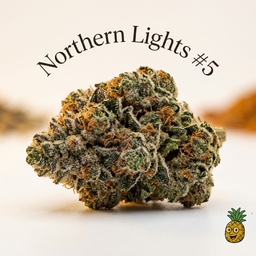 Northern Lights #5 cannabis strain