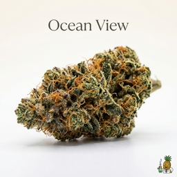 Ocean View cannabis strain