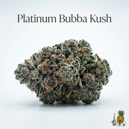 Platinum Bubba Kush cannabis strain