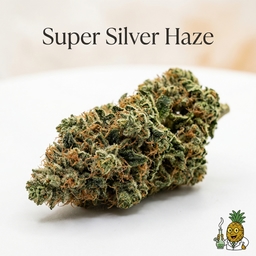 Super Silver Haze cannabis strain